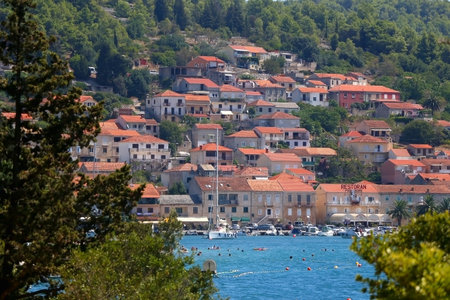 Vela Luka, Croatia - August 13, 2019: Small picturesque town Vela Luka on island Korcula, Croatia, seen through the Mediterranean plants. Selective focus.のeditorial素材