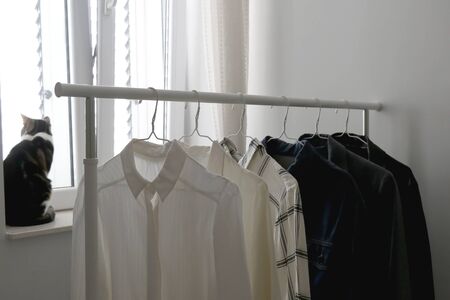 Minimal capsule wardrobe on a clothing rack and a tabby cat in the bedroom. Selective focus.