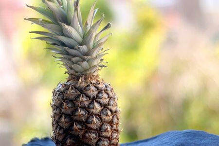 Pineapple on blue tablecloth. Selective focus, naturla green bokeh.の写真素材
