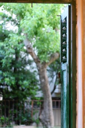 Dusty rustic mediterranean style window and view of a garden. Selective focus.の写真素材