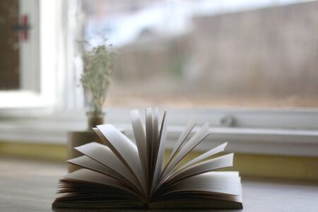 Golden vase with gypsophila flowers and an open book on a table. Selective focus.の写真素材