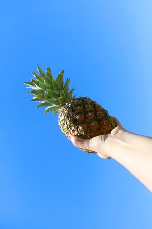 Unrecognizable person holding a pineapple in the hand. Bright blue sky in the background.の写真素材