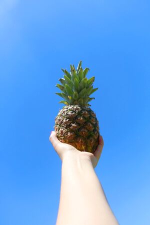 Unrecognizable person holding a pineapple in the hand. Bright blue sky in the background.の写真素材