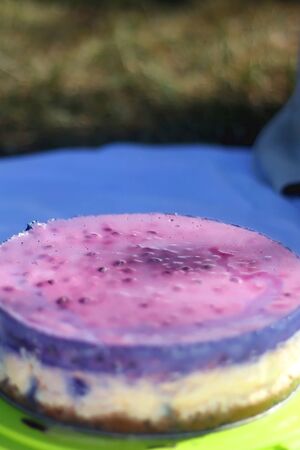 Homemade blueberry cheesecake, served on a picnic blanket. Selective focus.