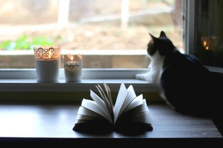 Open book, candle holders with lit candles and tabby cat at home. Selective focus.