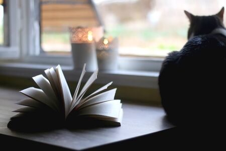 Open book, candle holders with lit candles and tabby cat at home. Selective focus.の写真素材