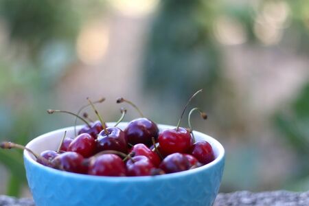 Bowl of fresh cherries, served in a garden. Selective focus.