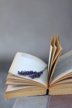 Open book and lavender flower. Selective focus.