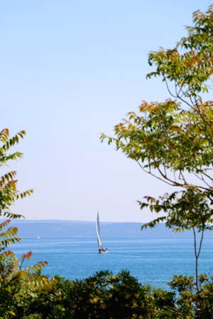 Sailing boat, seen behind trees, in Split, Croatia. Selective focus.