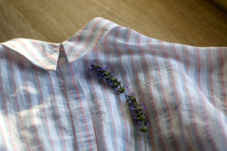 Striped pastel blouse and lavender flower. Selective focus.の写真素材