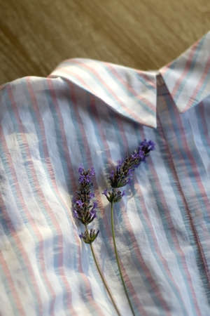 Striped pastel blouse and lavender flower. Selective focus.の写真素材