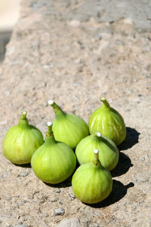 Fresh, picked figs in a Mediterranean garden. Selective focus.の写真素材