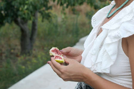 Unrecognizable person eating fresh picked figs. Selective focus.の写真素材