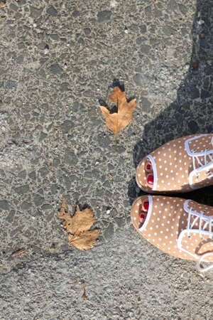 Unrecognizable person in colorful quirky shoes and fallen autumn leaves. Top view.の写真素材