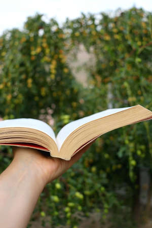 Unrecognizable person holding a book in a garden. Selective focus.の写真素材
