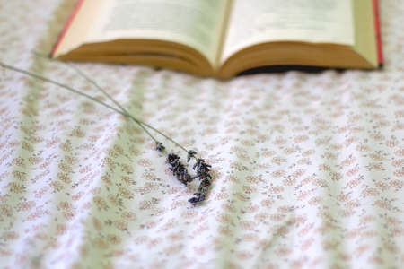 Open book and lavender flower on a bed. Selective focus.
