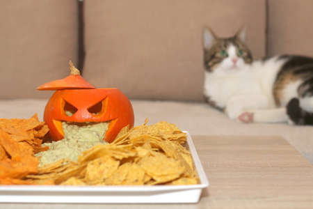 Carved pumpkin filled with guacamole and tortilla chips. Halloween party food. Cat in the background. Selective focus.の写真素材
