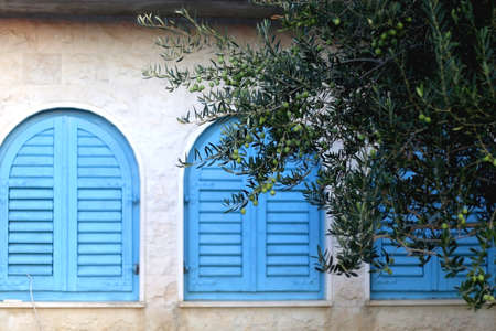 Mediterranean house with bright blue window and olive tree in the garden. Selective focus.