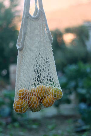 Mesh bag filled with tangerines in a garden. Selective focus.