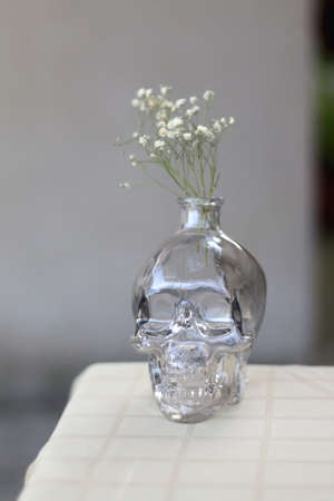 Glass skull vase with gypsophila flowers. Minimal Halloween decor. Selective focus.の写真素材
