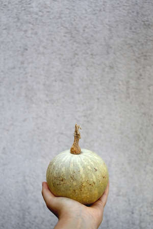 Hand holding a small pumpkin in front of a wall. Selective focus.