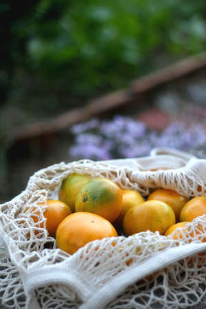 Bag filled with fresh tangerines in a garden. Selective focus.の写真素材