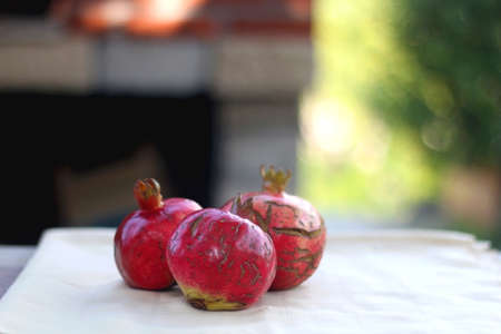 Picked homegrown pomegranate in a garden. Selective focus.の写真素材
