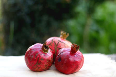 Fresh pomegranates, picked from the garden. Selective focus.の写真素材
