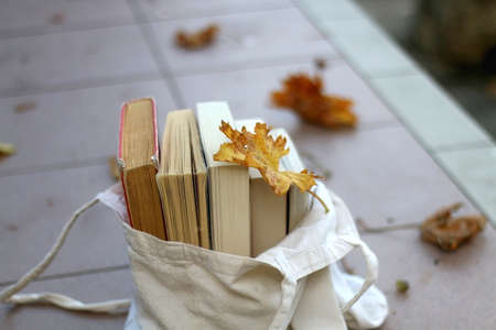 Tote bag filled with books and autumn leaves in the garden. Selective focus.の写真素材