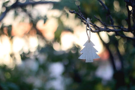 Christmas tree ornament hanging in the garden. Selective focus.の写真素材