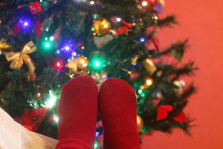 Feet in warm red socks by the Christmas tree.の写真素材