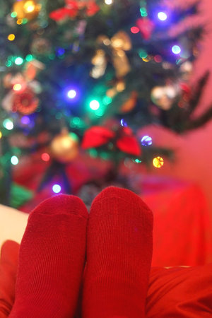 Feet in warm red socks by the Christmas tree.の写真素材