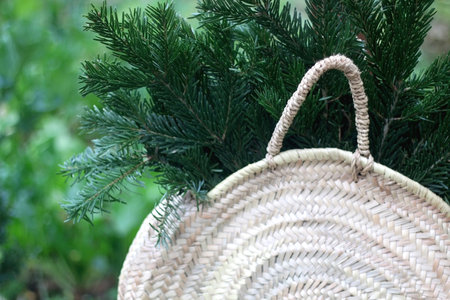 Wicker basket with fresh pine tree branches. Selective focus, green garden background.の写真素材