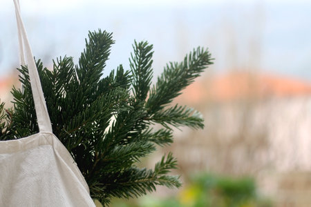 Canvas tote bag filled with pine tree branches. Selective focus.の写真素材