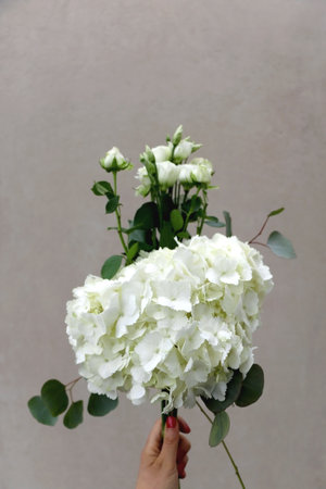 Hand holding white flowers in front of gray concrete wall. Selective focus.の写真素材