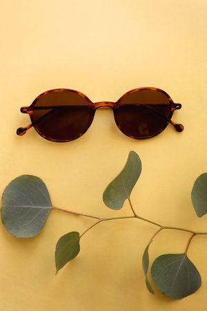 Round brown sunglasses and eucalyptus leaves on pastel yellow background. Top view.