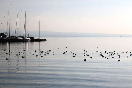 Small fishing boat and seagulls on the sea. Picturesque landscape in Split, Croatia.