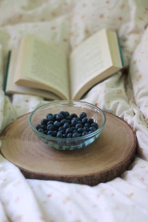 Bowl of blueberries and open book on a bed. Selective focus.の写真素材
