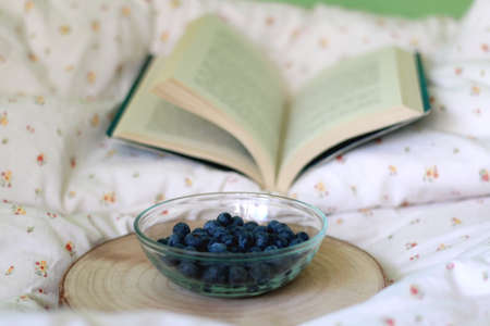Bowl of blueberries and open book on a bed. Selective focus.の写真素材