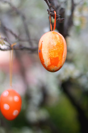 Easter egg decorations hanging in a garden. Selective focus.の写真素材