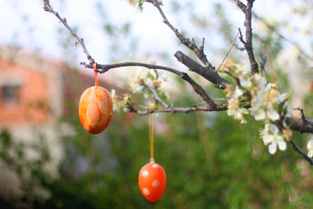 Easter egg decorations hanging in a garden. Selective focus.の写真素材