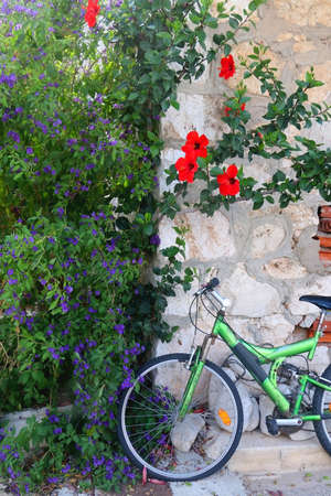 Old bike parked in front of a Mediterranean house with beautiful garden. Picturesque scenery on island Lastovo, Croatia.の写真素材