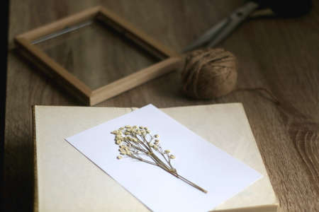 White paper with pressed gypsophila flowers and old book on a table. Making herbarium at home. Selective focus.の写真素材
