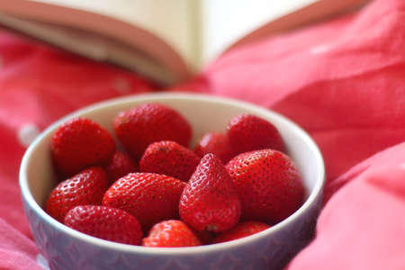 Bowl of strawberries and open book on a bed. Selective focus.の写真素材