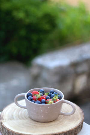 Bowl with blueberries and strawberries, served in a garden. Selective focus.の写真素材