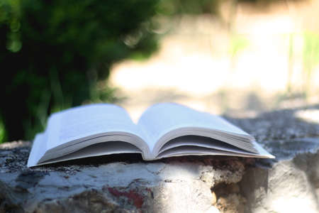 Open book in a garden. Selective focus.