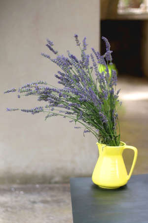Yelow vase with fresh lavender flowers. Selective focus.の写真素材