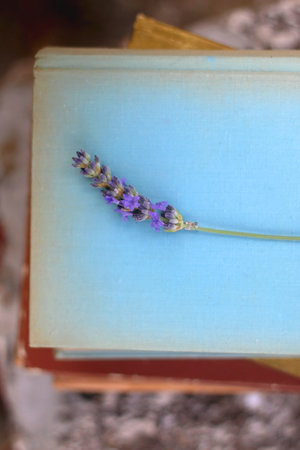 Stack of vintage hardcover books and lavender flower. Top view.の写真素材