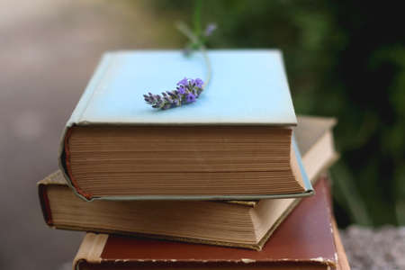 Stack of vintage hardcover books and lavender flower. Selective focus.の写真素材