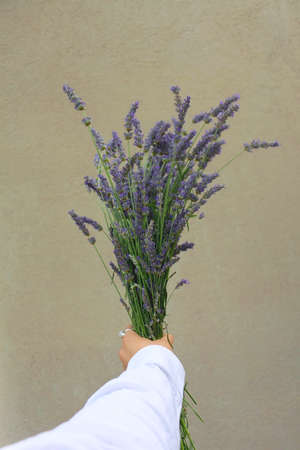 Hand holding a bouquet of lavender flowers. Selective focus.の写真素材